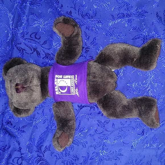 1998-1999 ACS Relay For Life "Mr. Ree" (mystery) Teddy Bear VTG Plush Logo Bear - Picture 5 of 17